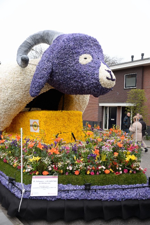 ../Images/Bloemencorso Noordwijkerhout 097.jpg